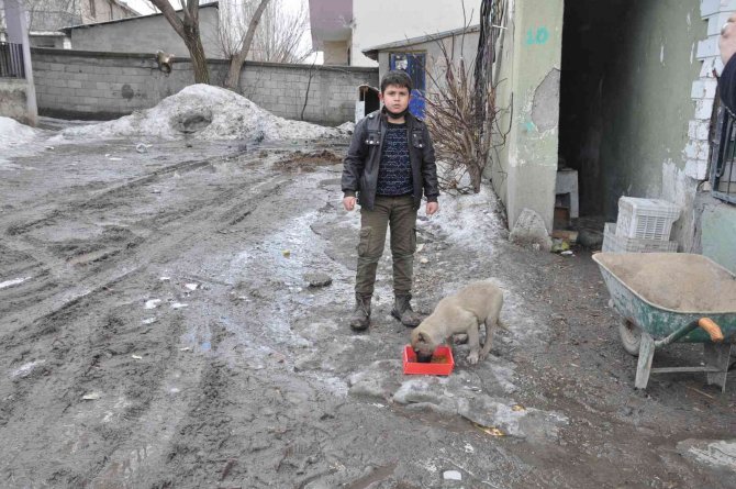 Bulanık’ta ‘Bir Kap Bin Cana Dokunur’ Projesi