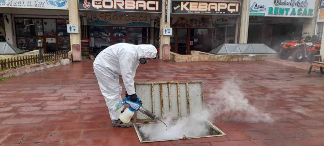 Ürgüp Belediyesinden Haşerelere Karşı Kışlak Mücadelesi