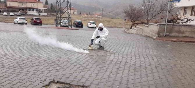 Ürgüp Belediyesinden Haşerelere Karşı Kışlak Mücadelesi