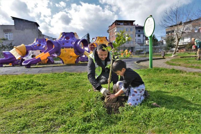Başkan Tören: “Kentimizin Yeşil Varlığını Önemsiyoruz”