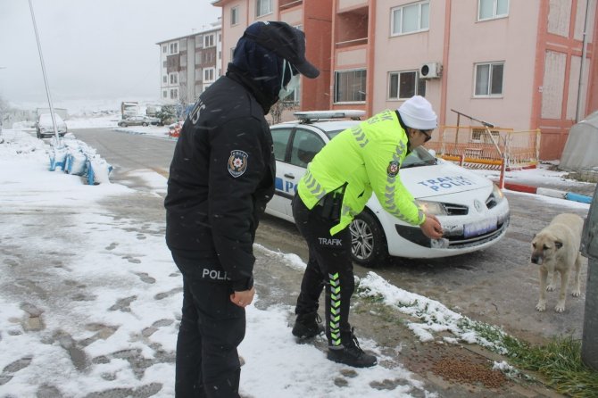Polislerden Sokak Hayvanlarına Yem