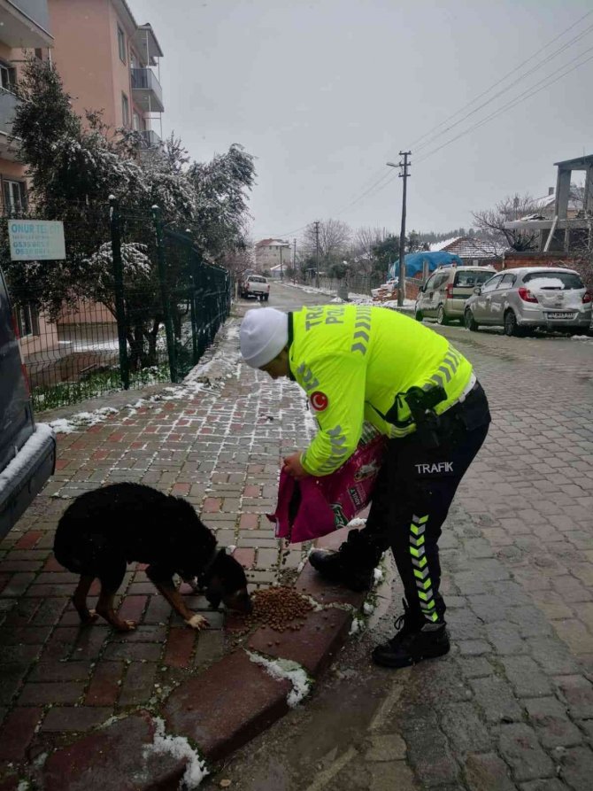 Polislerden Sokak Hayvanlarına Yem