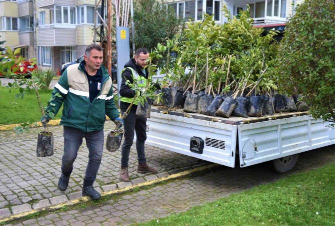 Başkan Tören: “Kentimizin Yeşil Varlığını Önemsiyoruz”