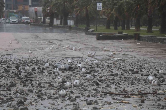 Samsun’da Karada Tipi, Denizde Fırtına