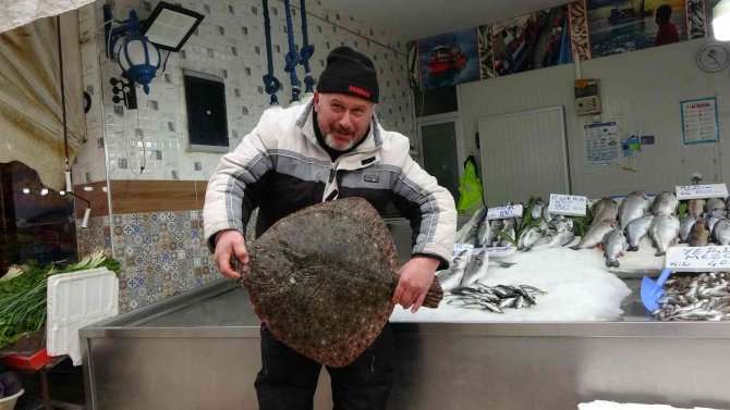 5 Kiloluk Kalkan Balığı 3 Bin Liraya Satıldı