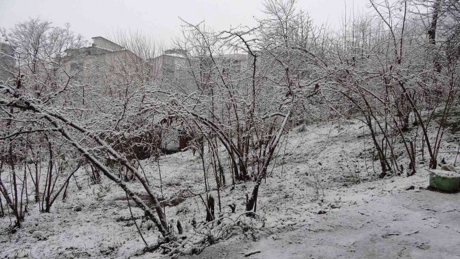Soydan: “Şuan İçin Zirai Don Yok Ancak Risk Devam Ediyor”