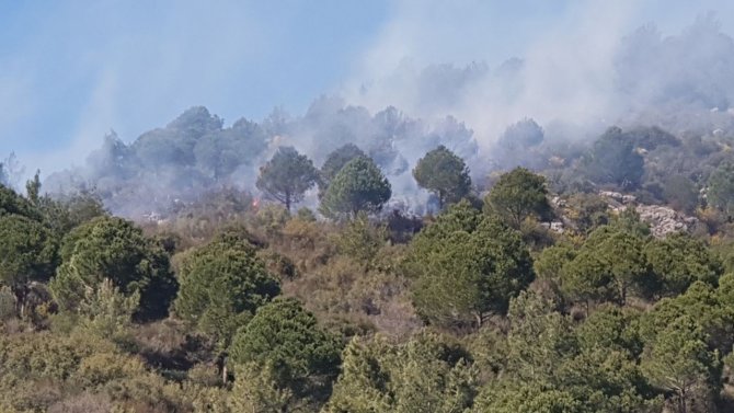 Alanya’da Ormanlık Alanda Yangın