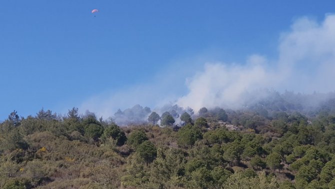 Alanya’da Ormanlık Alanda Yangın