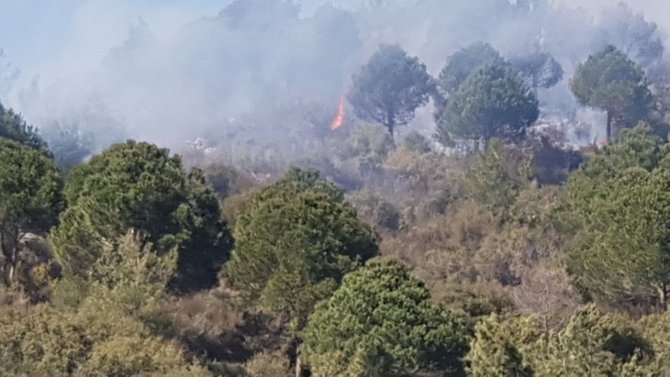 Alanya’da Ormanlık Alanda Yangın