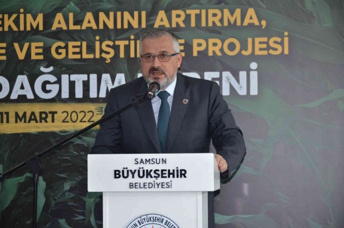 133 Ton Yem Bitkisi Tohumu Dağıtıldı, Yem Açığının 3’te 1’ini Karşılayacak