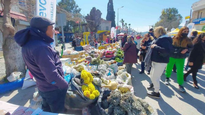 Bodrum’da Bu Defa ’Ot Festivali’ Düzenlendi