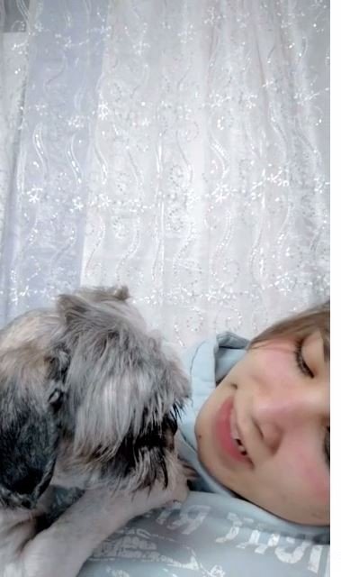 Çalınan Köpeklerine 3 Gündür Ağlıyorlar