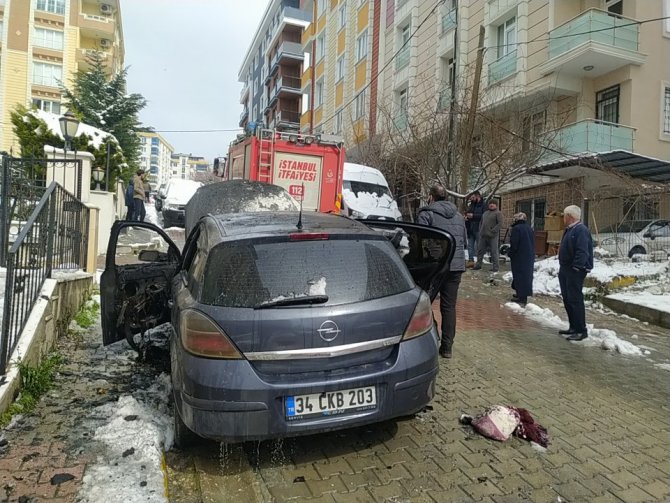 Park Halindeki Araç Alev Topuna Döndü