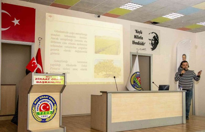 Mut’ta Üreticilere Antep Fıstığı Yetiştiriciliği Eğitimi Verildi
