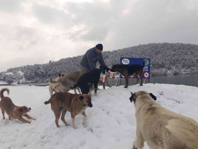 Başkan Erdem Karla Mücadeleyi Yerinde Denetledi