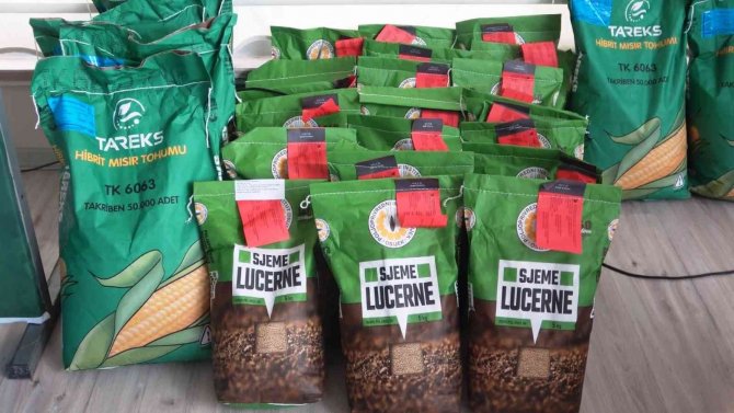 133 Ton Yem Bitkisi Tohumu Dağıtıldı, Yem Açığının 3’te 1’ini Karşılayacak