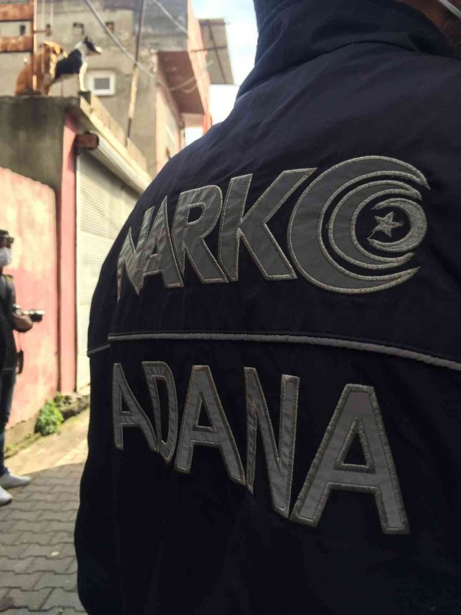 Torbacının Pitbullarına Polis El Koydu