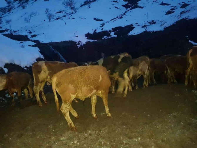 Bingöl-diyarbakır Karayolunda Kamyon Devrildi