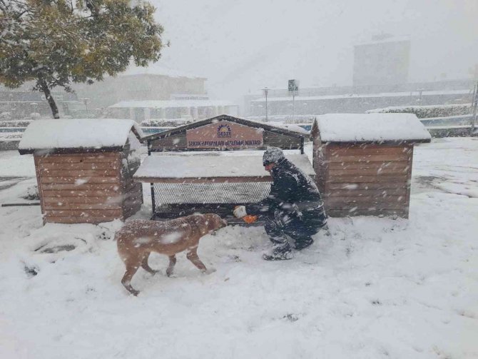 Gebze’de Ekipler Kar Mesaisinde