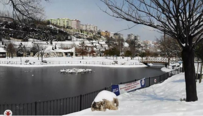Kar Esareti Altındaki İ̇stanbul’da Kartpostallık Görüntüler Oluştu