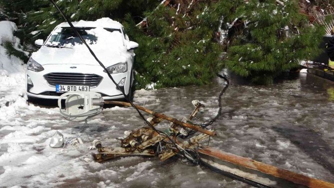 Maltepe’de Yoğun Kara Dayanamayan Ağaç, Park Halindeki 2 Aracın Üstüne Devrildi