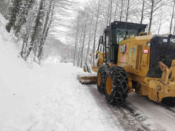 Ordu’da Kar Mücadelesi