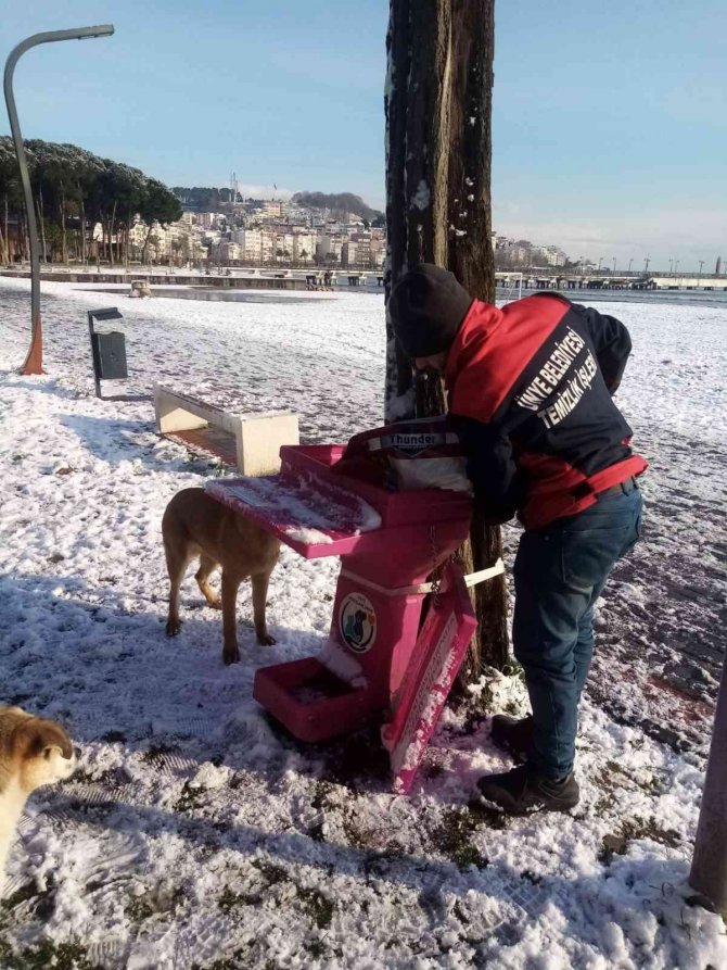 Başkan Tavlı: “Kar Yağışı Nedeniyle Hazırlıklarımı Günler Öncesinden Tamamladık”