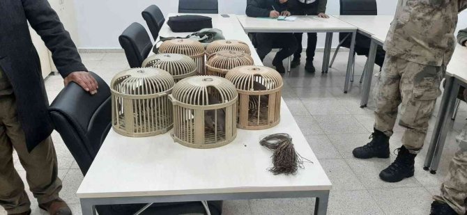 Sarıkamış’ta Kaçak Avcıya Ceza Yağdı