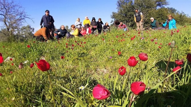 Doğaseverler, Gökçeler Kanyonu’nu Gezdi