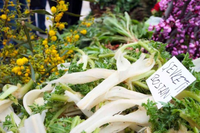 Ege’nin Otları Şifa Deposu