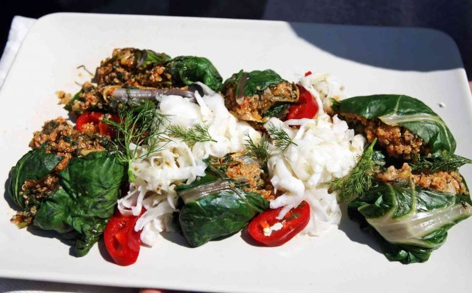 Ege’nin Otları Şifa Deposu