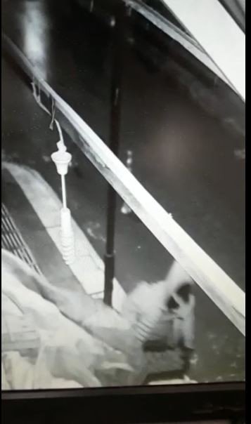 Kasa Kasa Meyve Eksiliyordu, Gerçek Kamera Takılınca Ortaya Çıktı