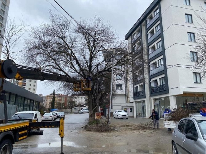 Kar Yağışından Etkilenen Ağaçlara Kartal Belediyesi Ekiplerinden Anında Müdahale