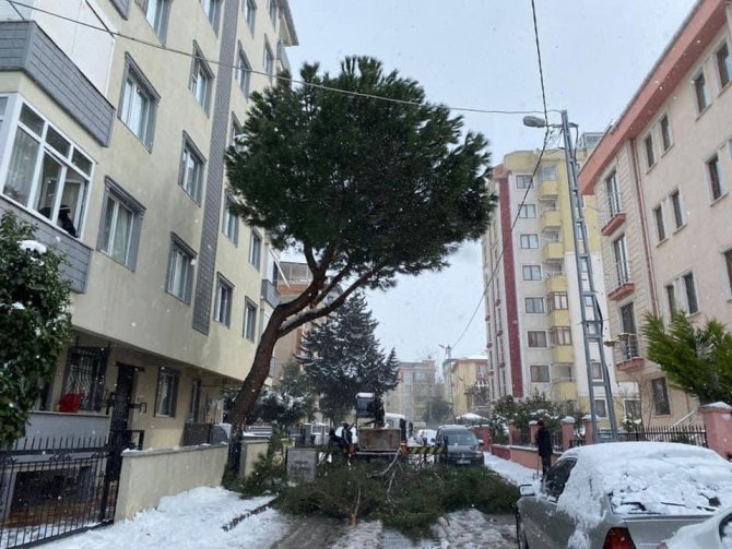 Kar Yağışından Etkilenen Ağaçlara Kartal Belediyesi Ekiplerinden Anında Müdahale