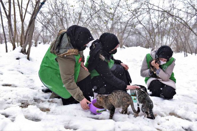 Başkan Tören: “Altınordu’da Açılmadık Yol Bırakmamak Adına Çalışıyoruz”