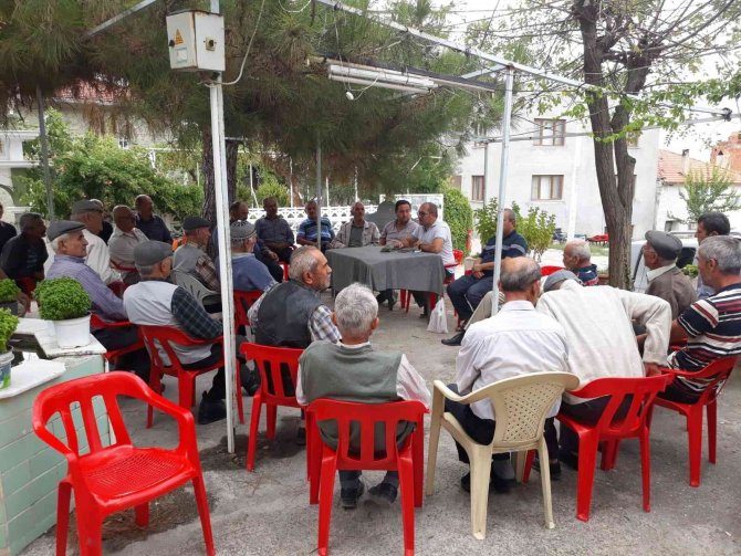 Demirci, Akdeniz Meyve Sineği’nden Ari Alan Olarak İlan Edildi