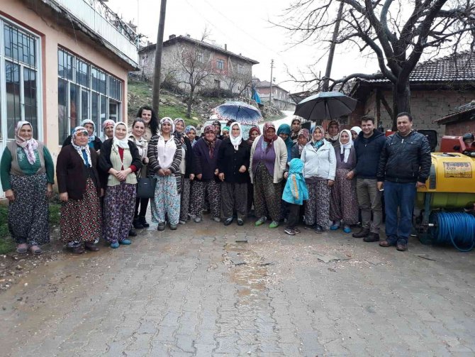Demirci, Akdeniz Meyve Sineği’nden Ari Alan Olarak İlan Edildi