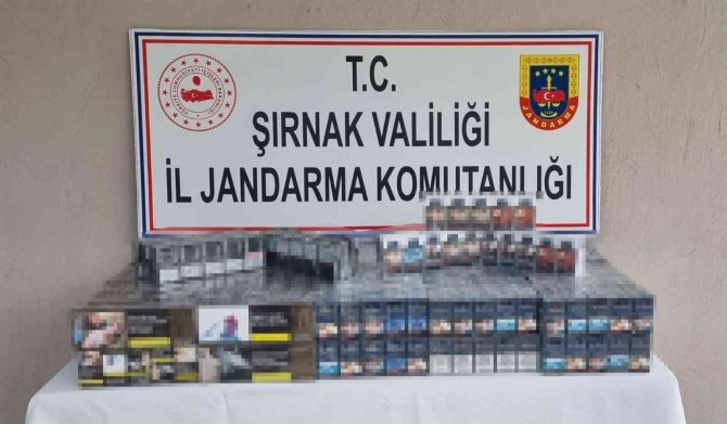 Şırnak’ta Kaçakçılık Ve Asayiş Operasyonu: 69 Gözaltı
