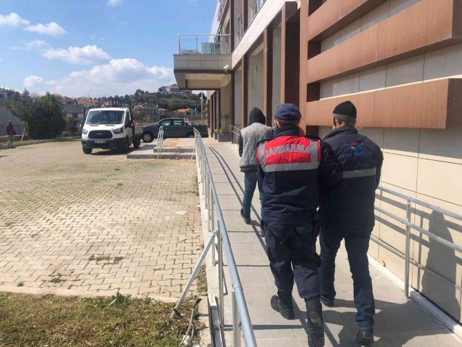 Kaçak Göçmenler, Dorsenin İçerisinde Yakalandı