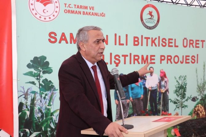 Samsun’da Kivi Üretiminde Hedef 4 Yılda 1. Sıraya Yerleşmek