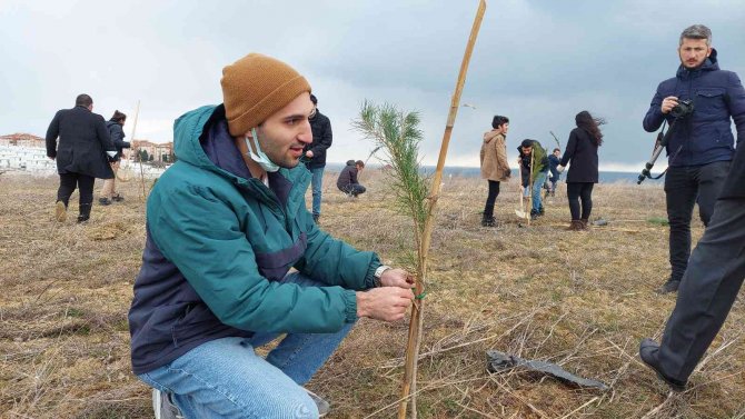 Bu Fidanlar Pandeminin Baş Kahramanları İçin Boy Gösterecek