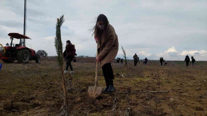 Bu Fidanlar Pandeminin Baş Kahramanları İçin Boy Gösterecek