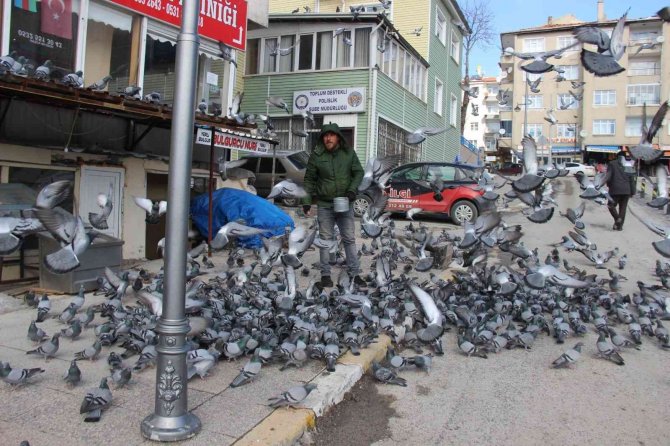 Yozgat Esnafının İlk Müşterileri Güvercinler Oluyor