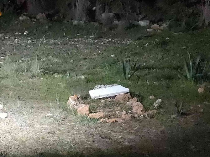 Antalya’da Ormanlık Alan İçindeki Mezar Polisi Alarma Geçirdi