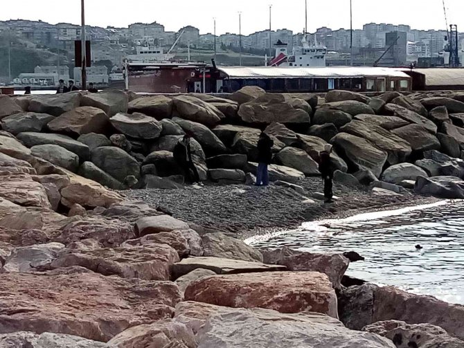 Bandırma’ Da 2 Ay Önce Çekilen Deniz Yerine Gelmedi