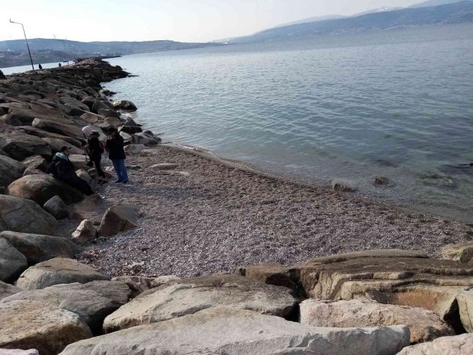 Bandırma’ Da 2 Ay Önce Çekilen Deniz Yerine Gelmedi
