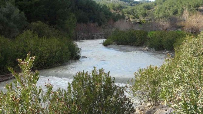 Kuruyan Su Gözleri Yeniden Çağlamaya Başladı