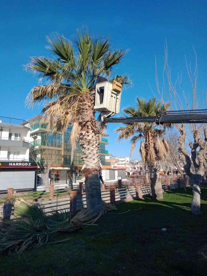 Didim’de Yeşil Alanlarda Çalışmalar Devam Ediyor