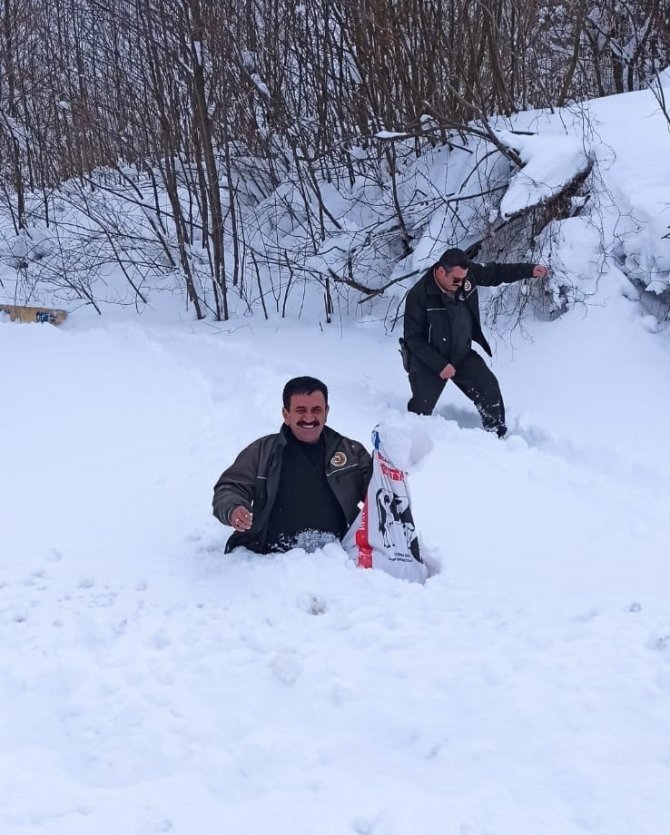 Doğadaki Canlılara Yem Bıraktılar