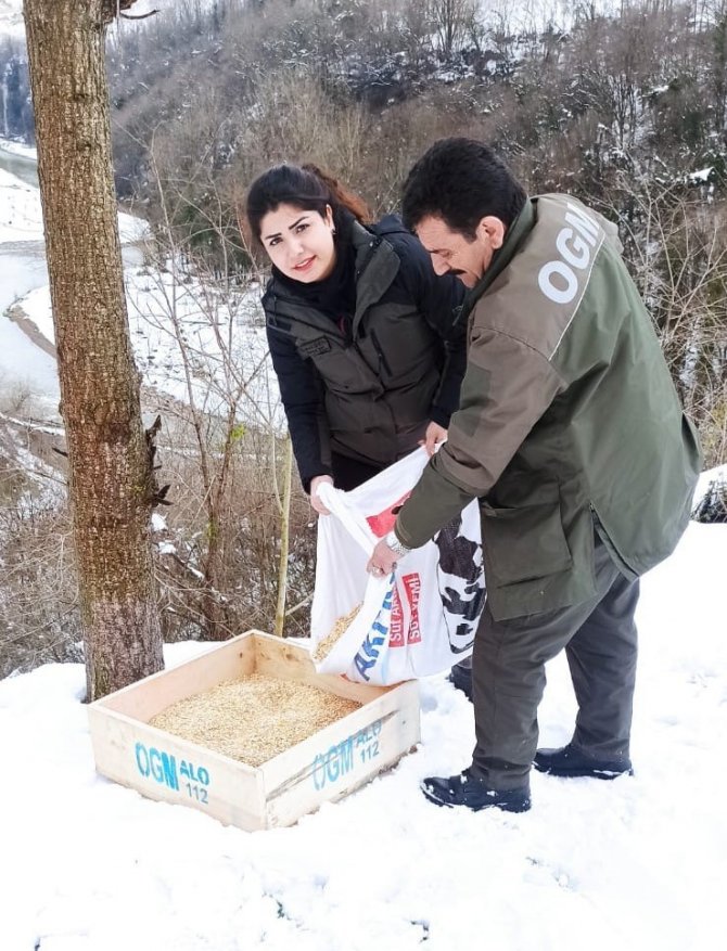 Doğadaki Canlılara Yem Bıraktılar